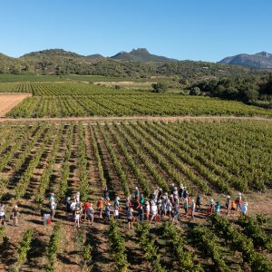 Fetes des vendanges