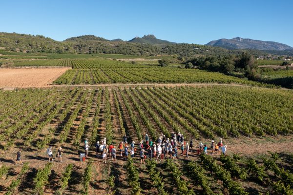 Fetes des vendanges